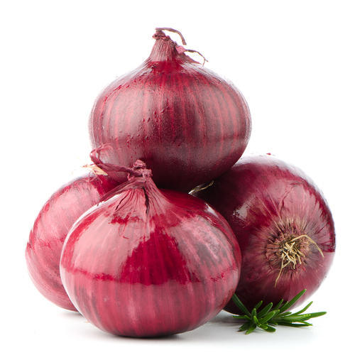 कांदा / Onion  