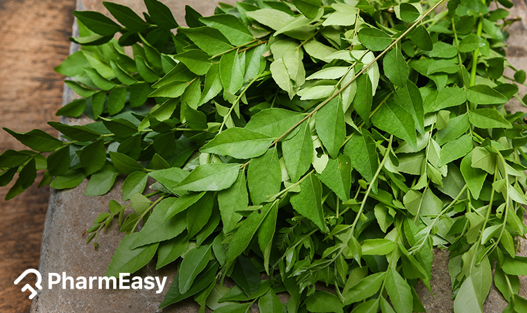 कडीपत्ता / Curry Leaves   