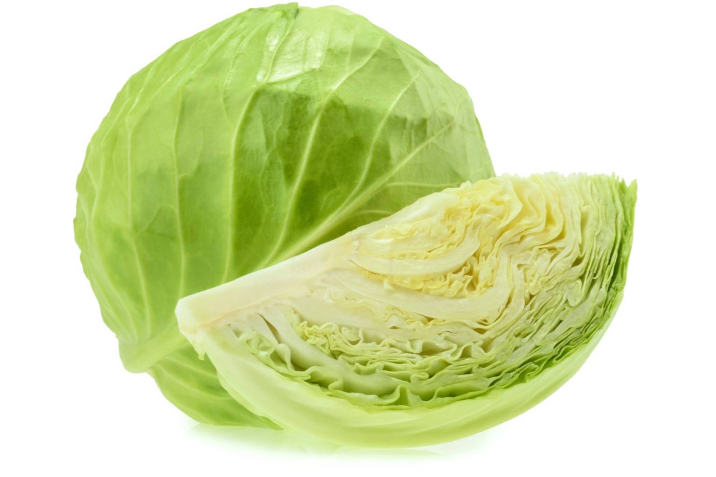 कोबी / Cabbage