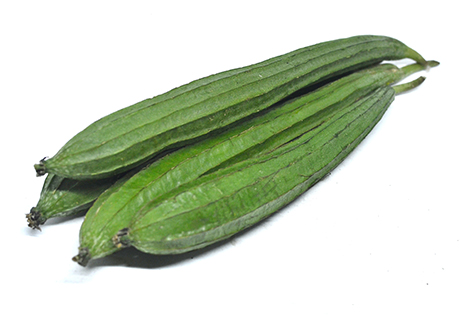 दोडका / Ridgegourd