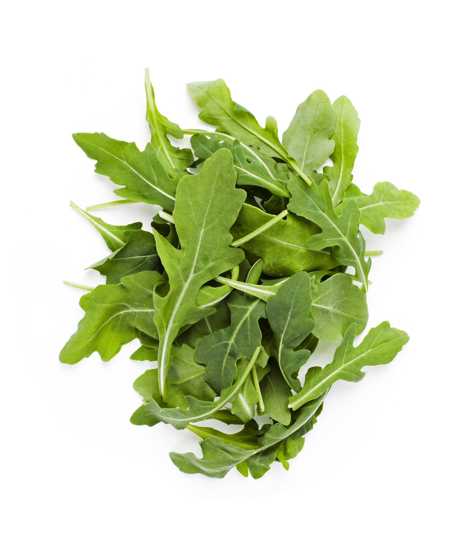 Rocket Leaves (अरुगुला)