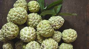 CUSTARD APPLE