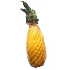 PINEAPPLE - PEELED