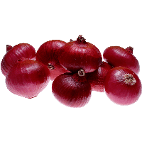 कांदा / Onion  