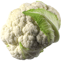 फ्लॉवर / Cauliflower 