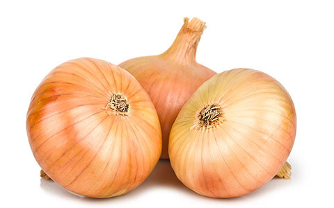 Onion 
