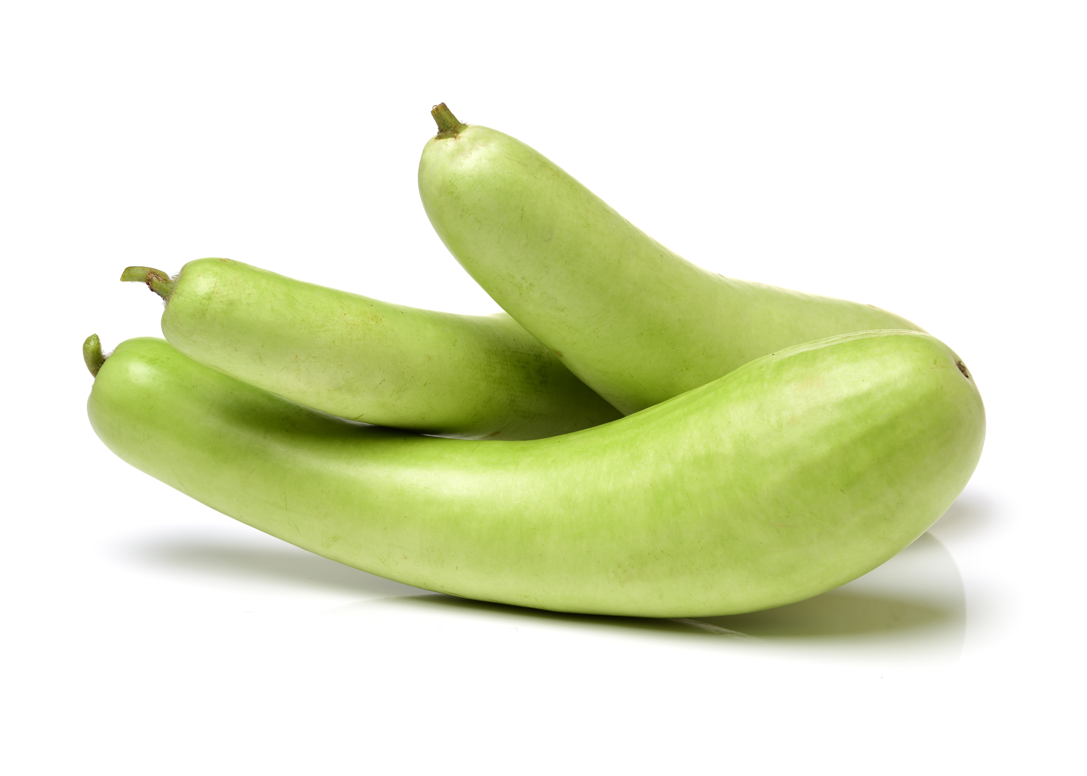 Bottle gourd  (लौकी)