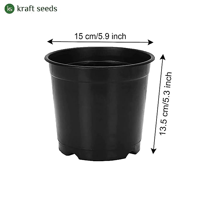 Marshel Pots 10" (6Pcs) 