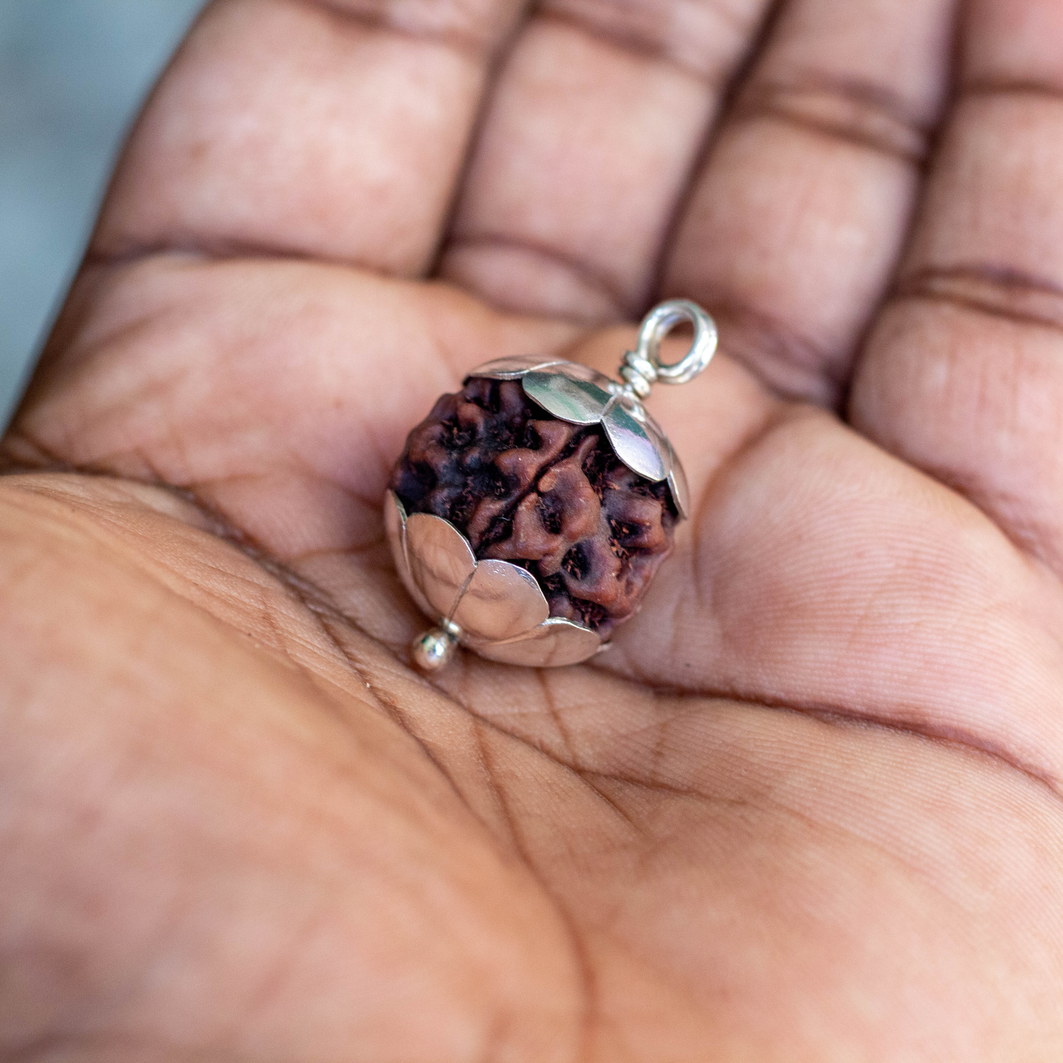 Rudraksha 5 Face Pendant Starling Silver