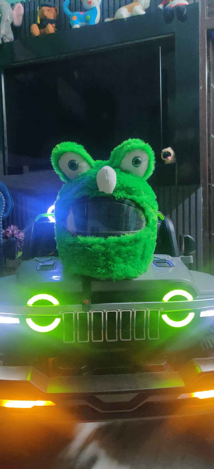 Ninja  Turtle helmet cover