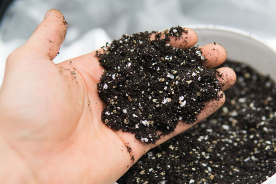 Potting Mix-10