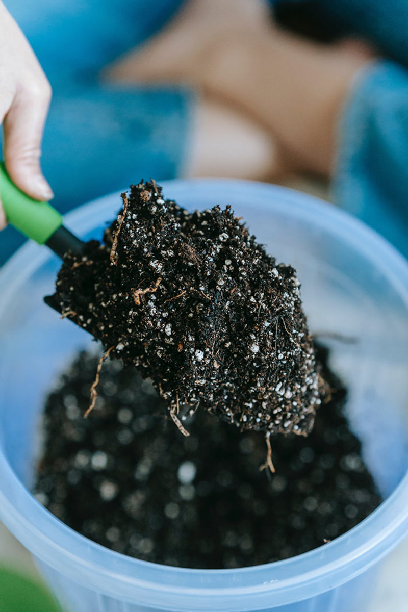 Potting Mix-21