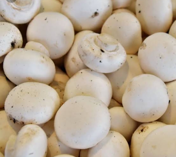 Botton mushroom