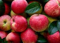 Apples 