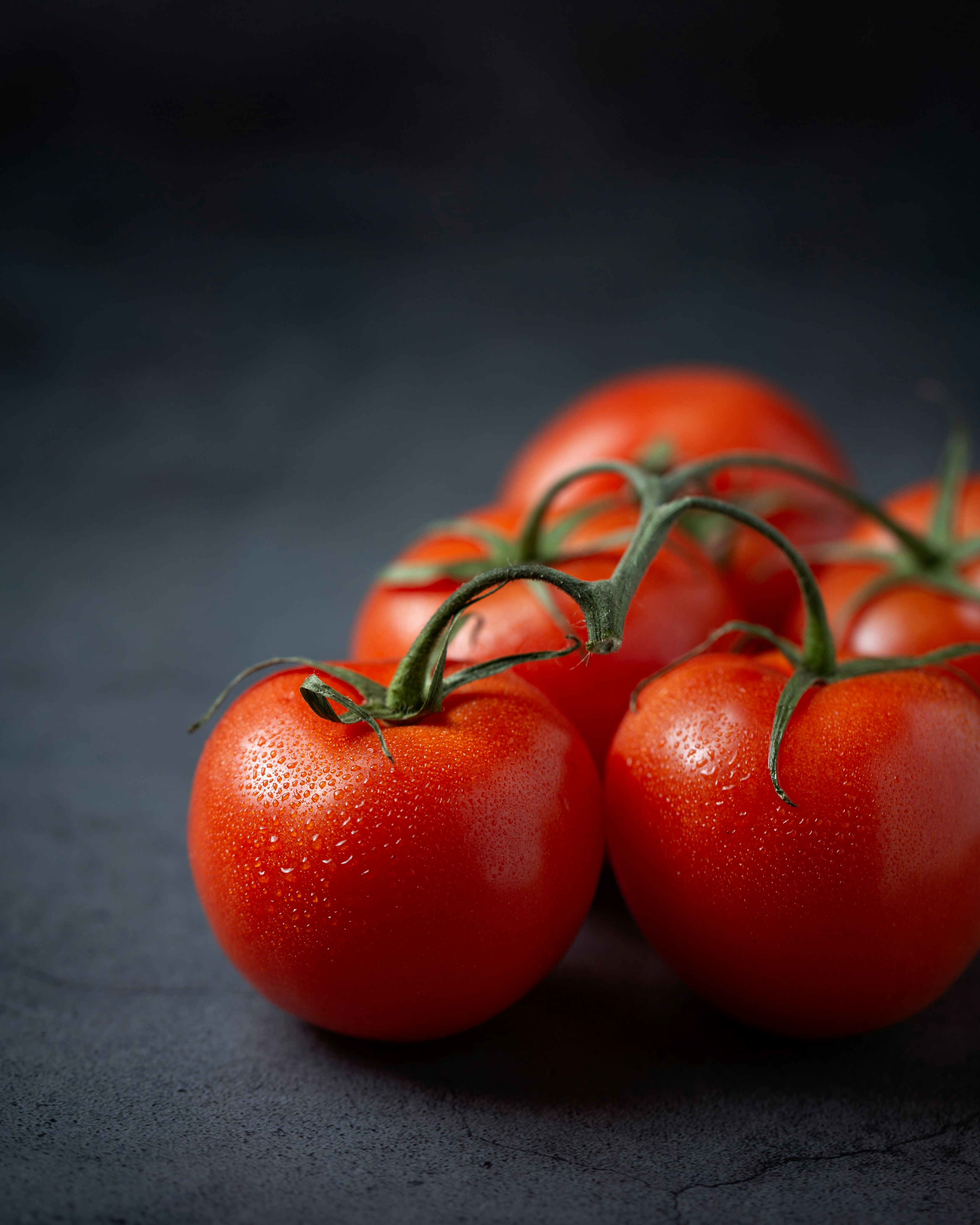 tamatar