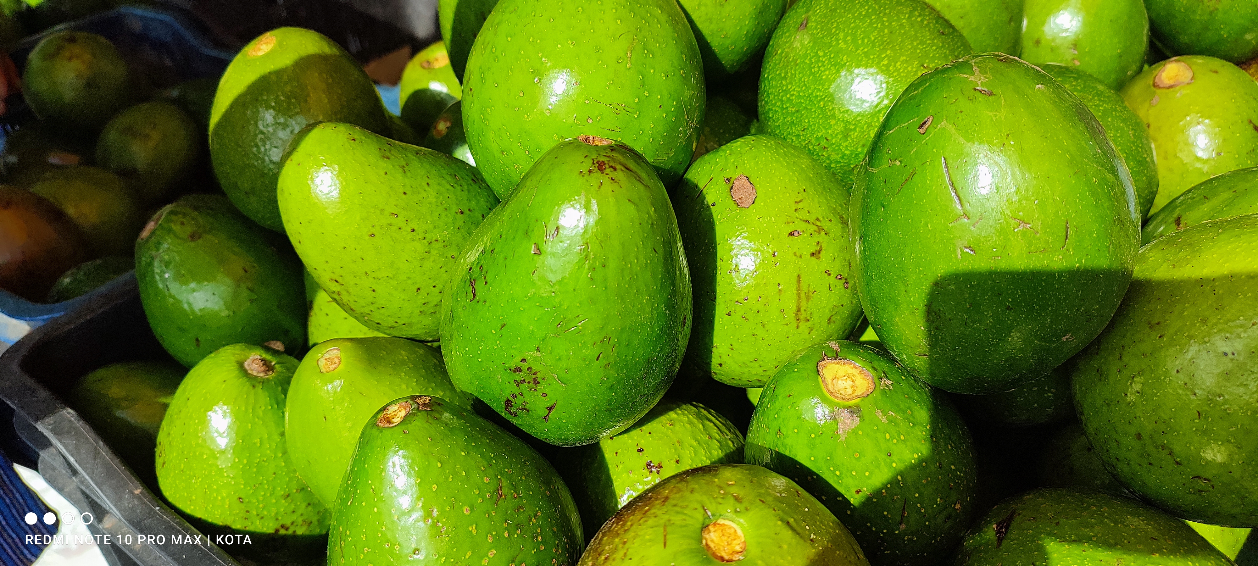 Avacado 1 Kg