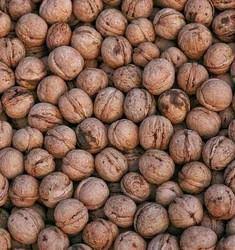 Org. Deoghari Walnut 160pieces pack (₹5/piece)