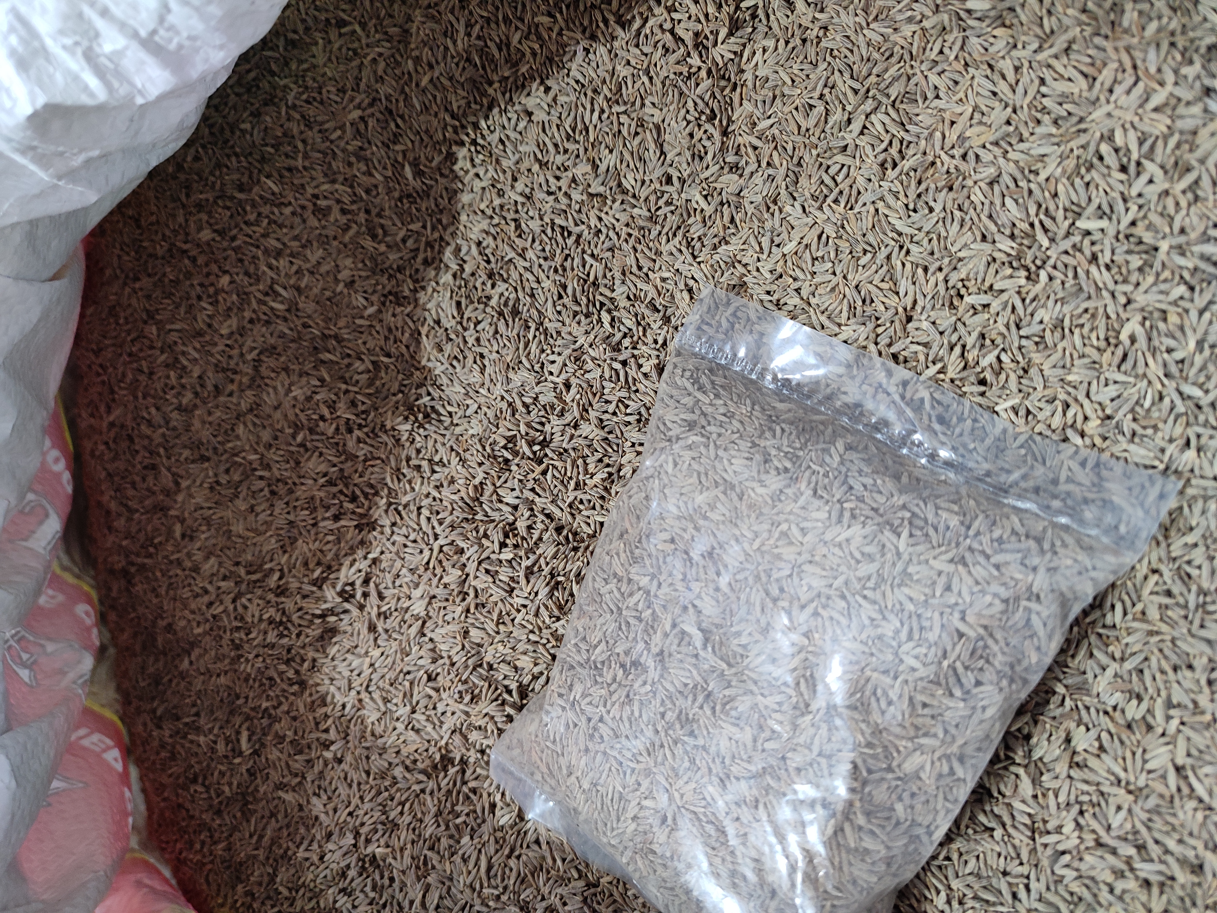 Cumin seeds