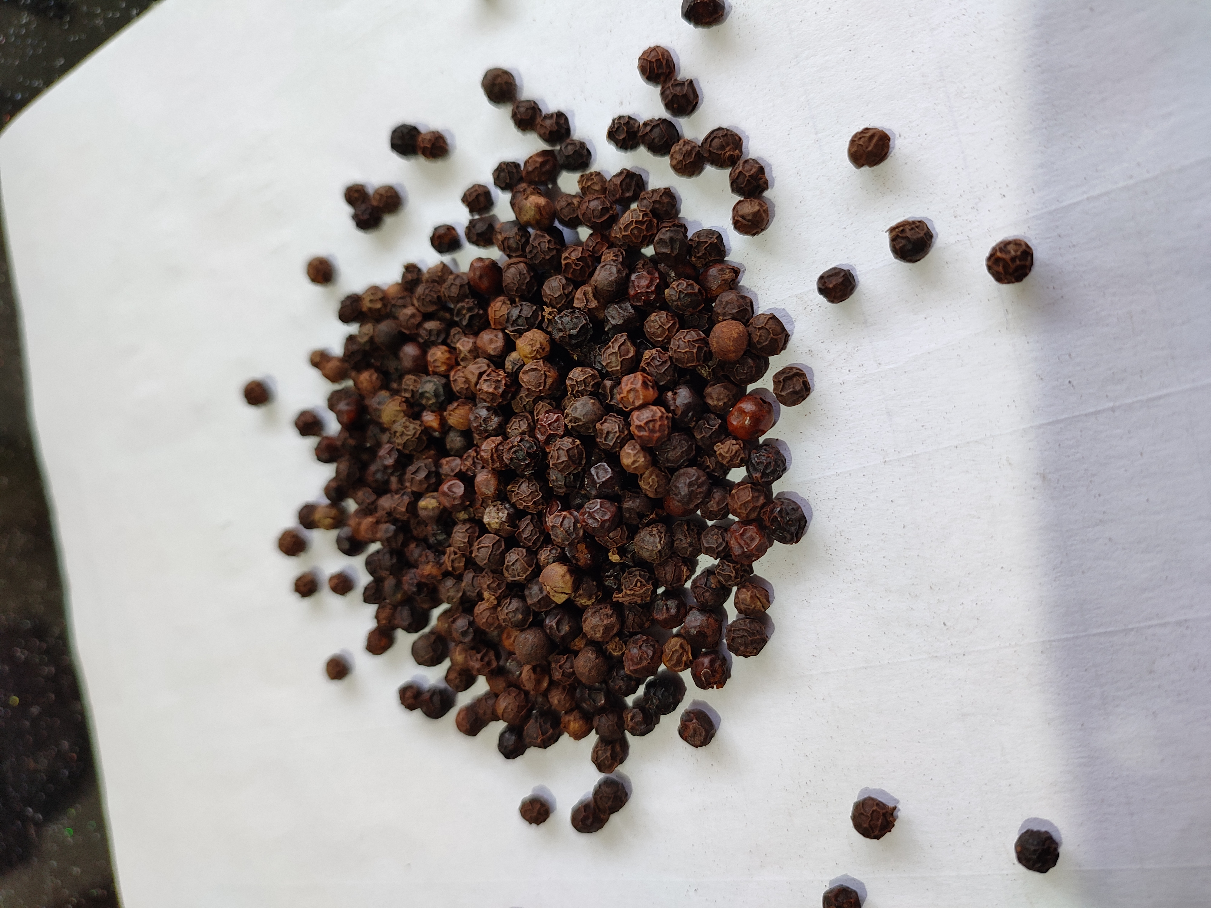 Black pepper big size 