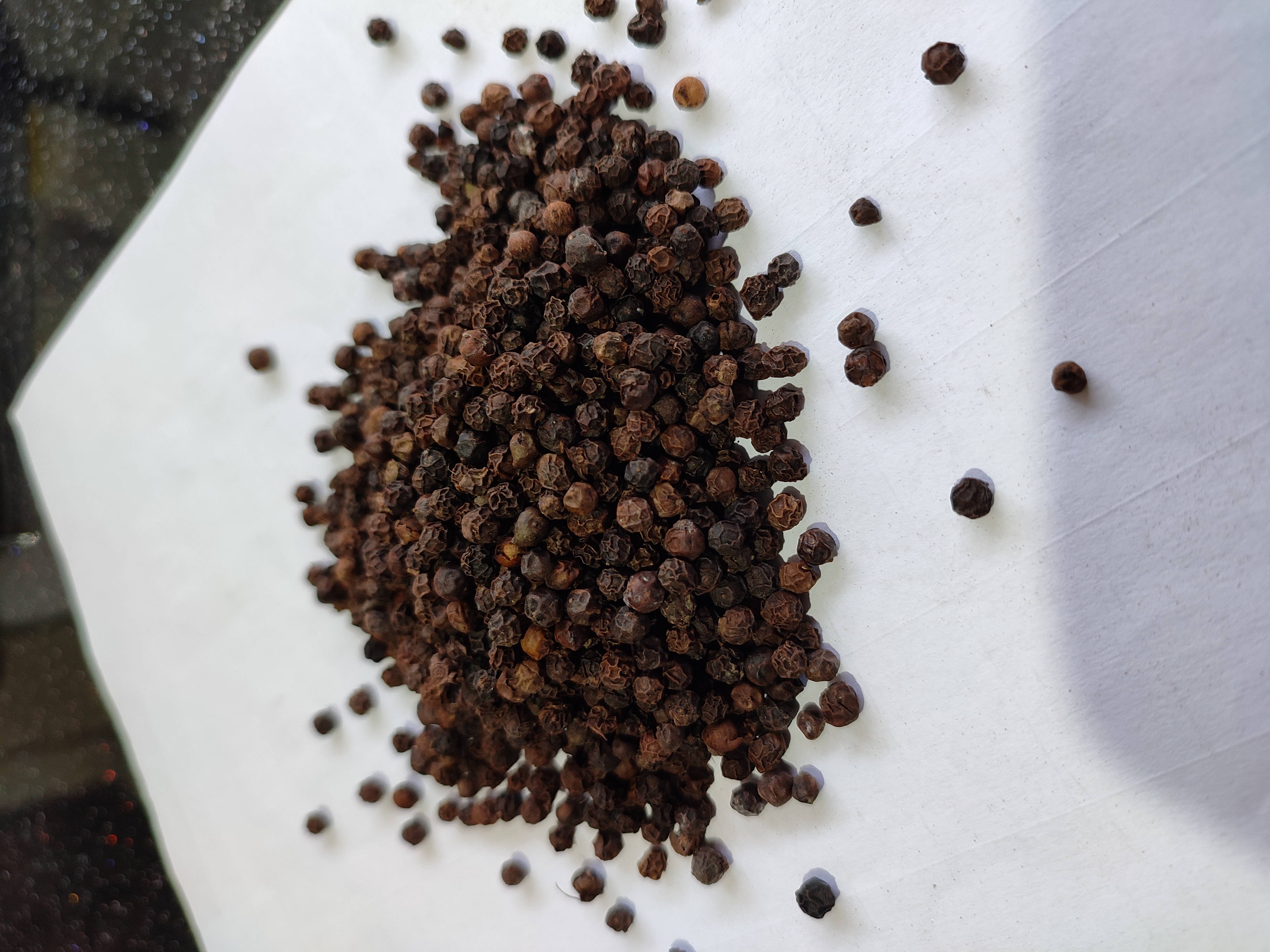 Black pepper