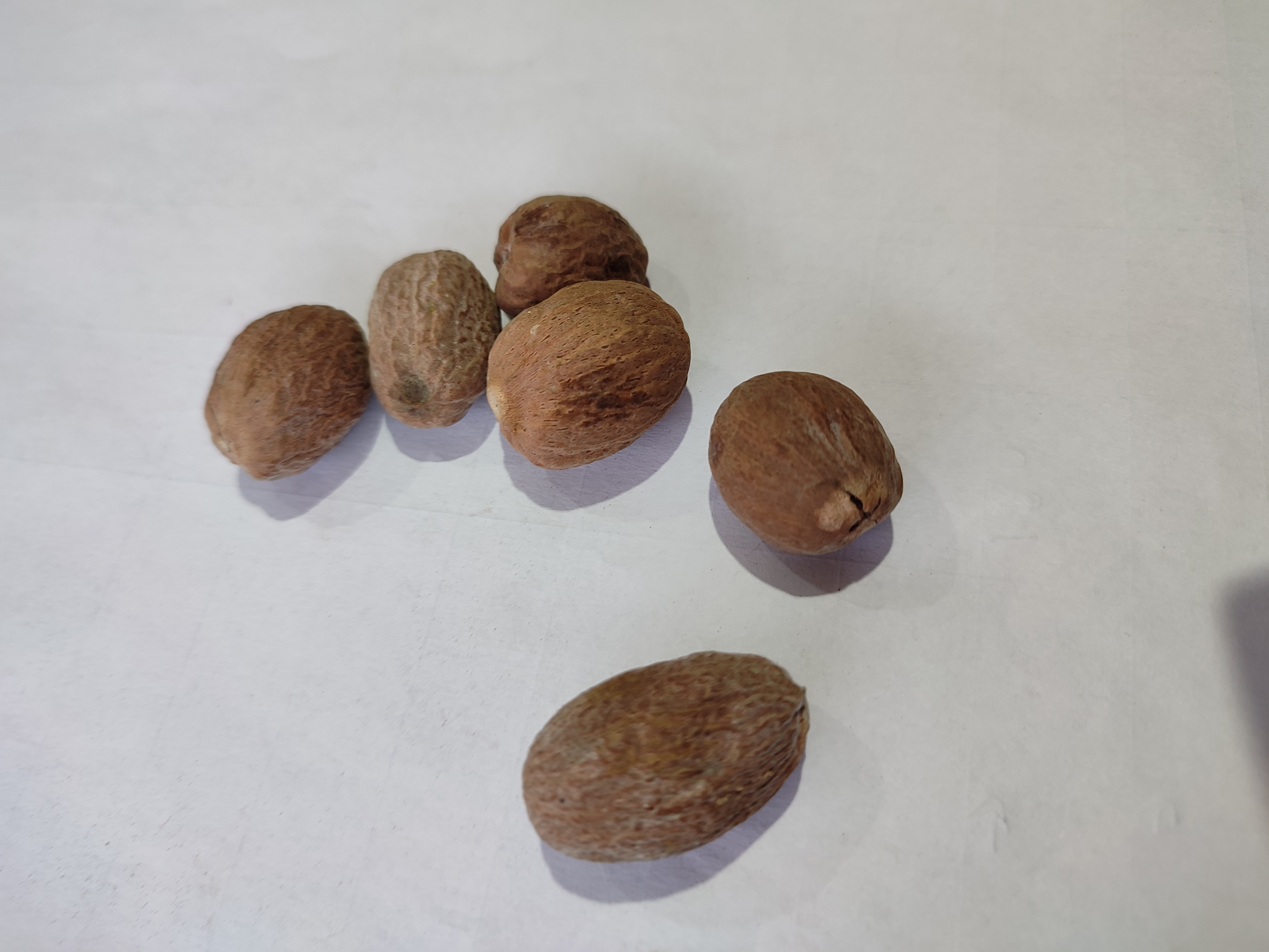 Nutmeg 