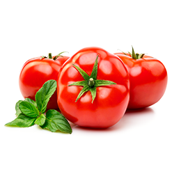 Tomato 1 Kg