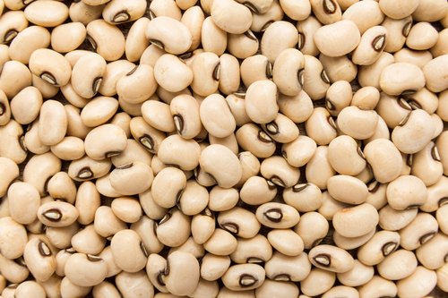Cow Pea
