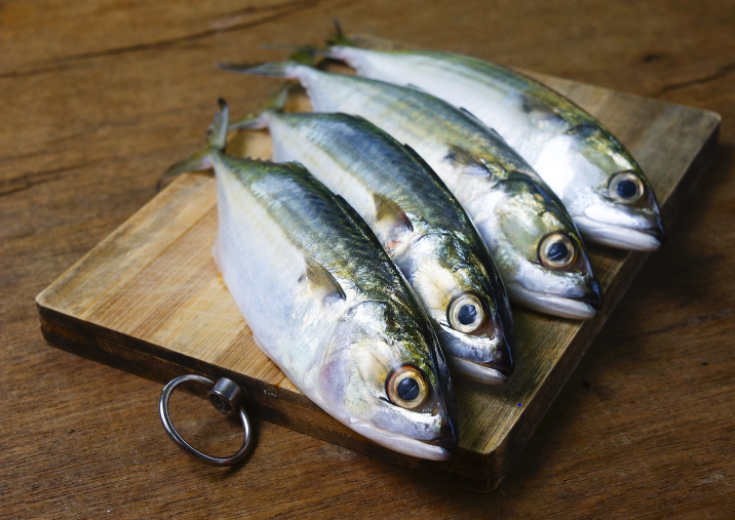 Mackerel / Bangda / Aayala