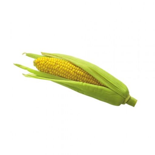 Sweet Corn 1 Pc