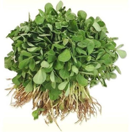 Methi १ pack (१ गुच्छी)