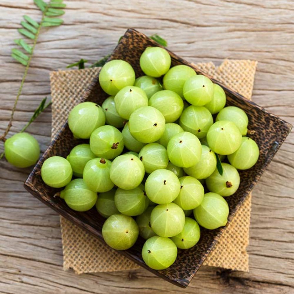 AMLA