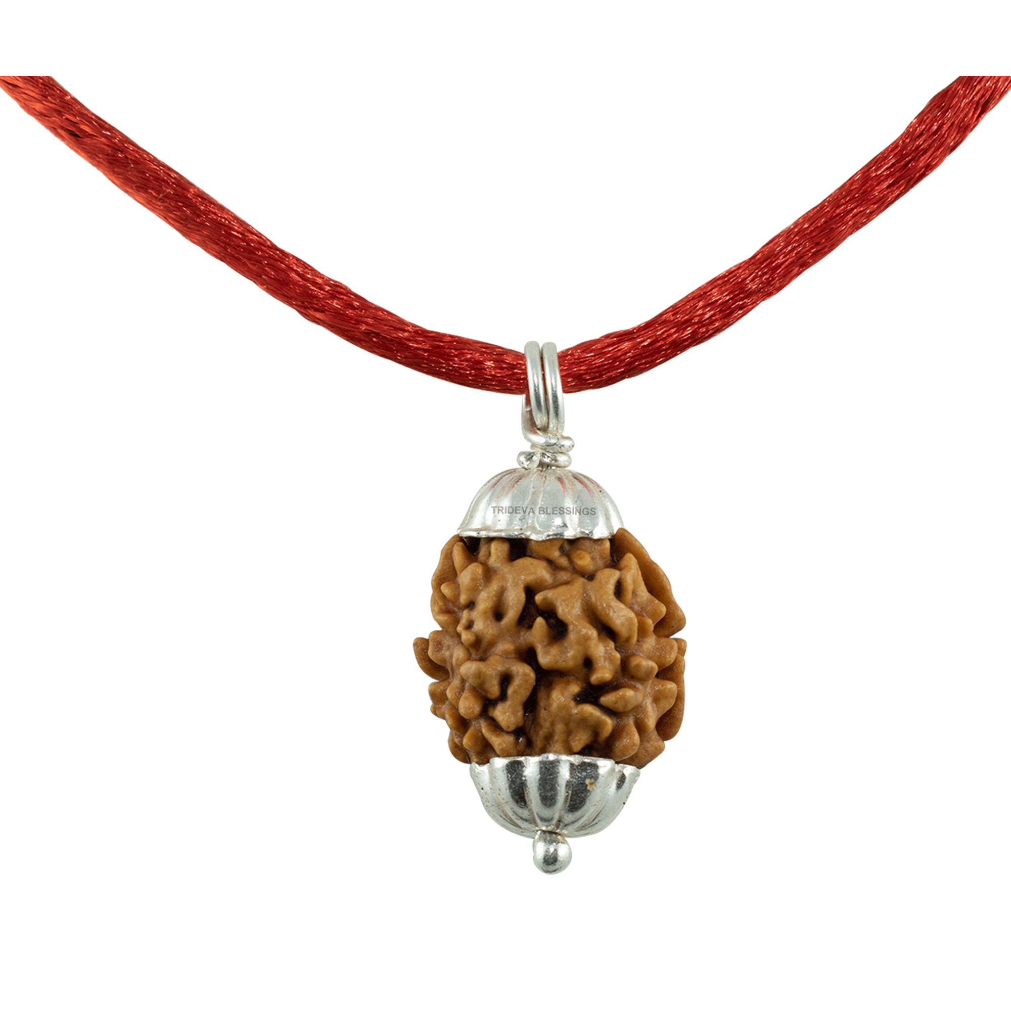 Trideva Blessings 2 Mukhi Rudraksha Pendant/ Two Face Rudraksha Pendant - Pure Silver Cap (Lab Certified)