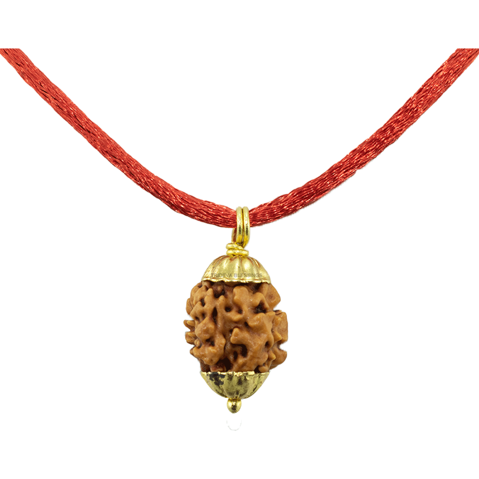Trideva Blessings 2 Mukhi Rudraksha Pendant / Two Face Rudraksha Pendant - Golden Metal Cap (Lab Certified)