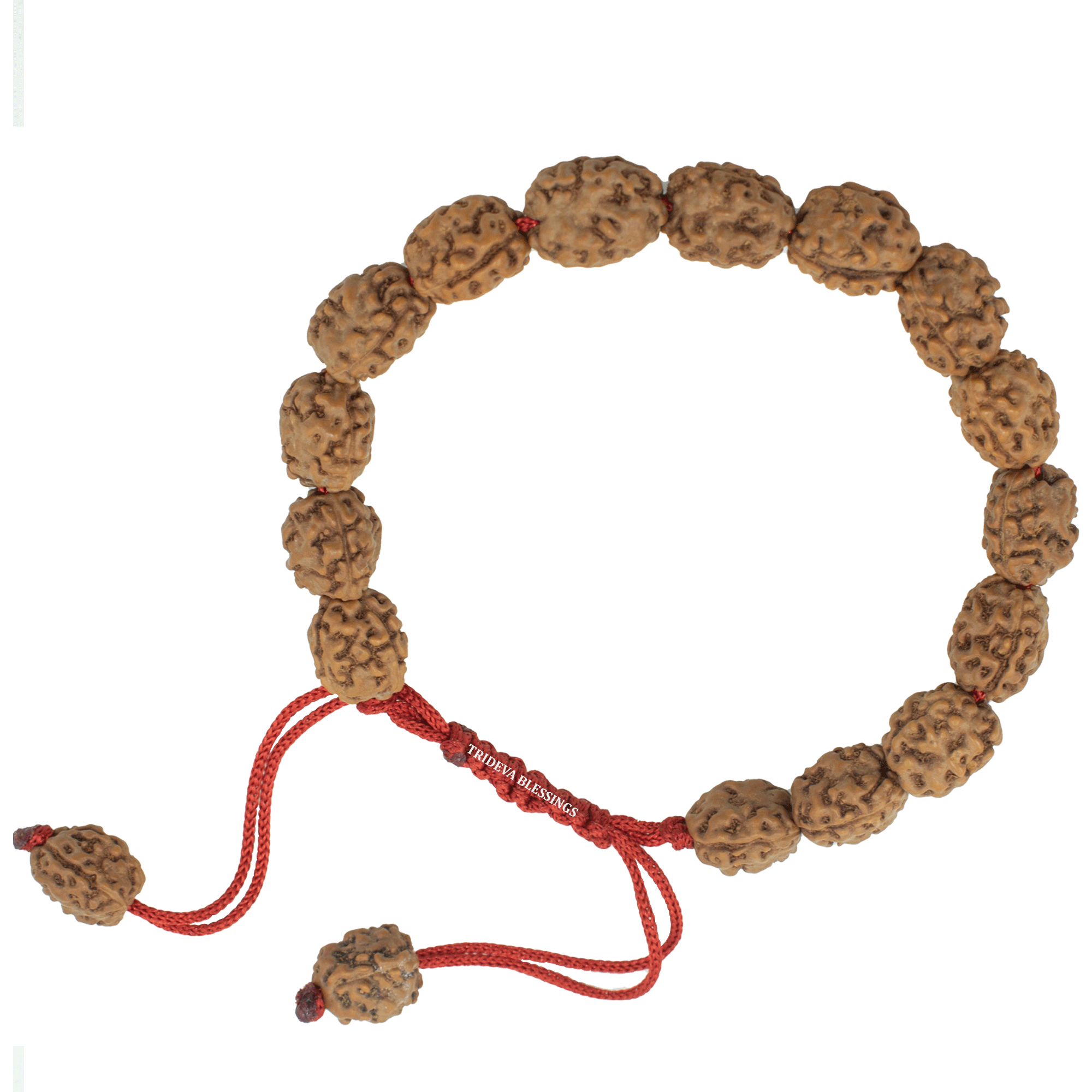 Trideva Blessings 3 Mukhi Rudraksha Bracelet / Three Face Rudraksha Bracelet - 17 beads (9mm)