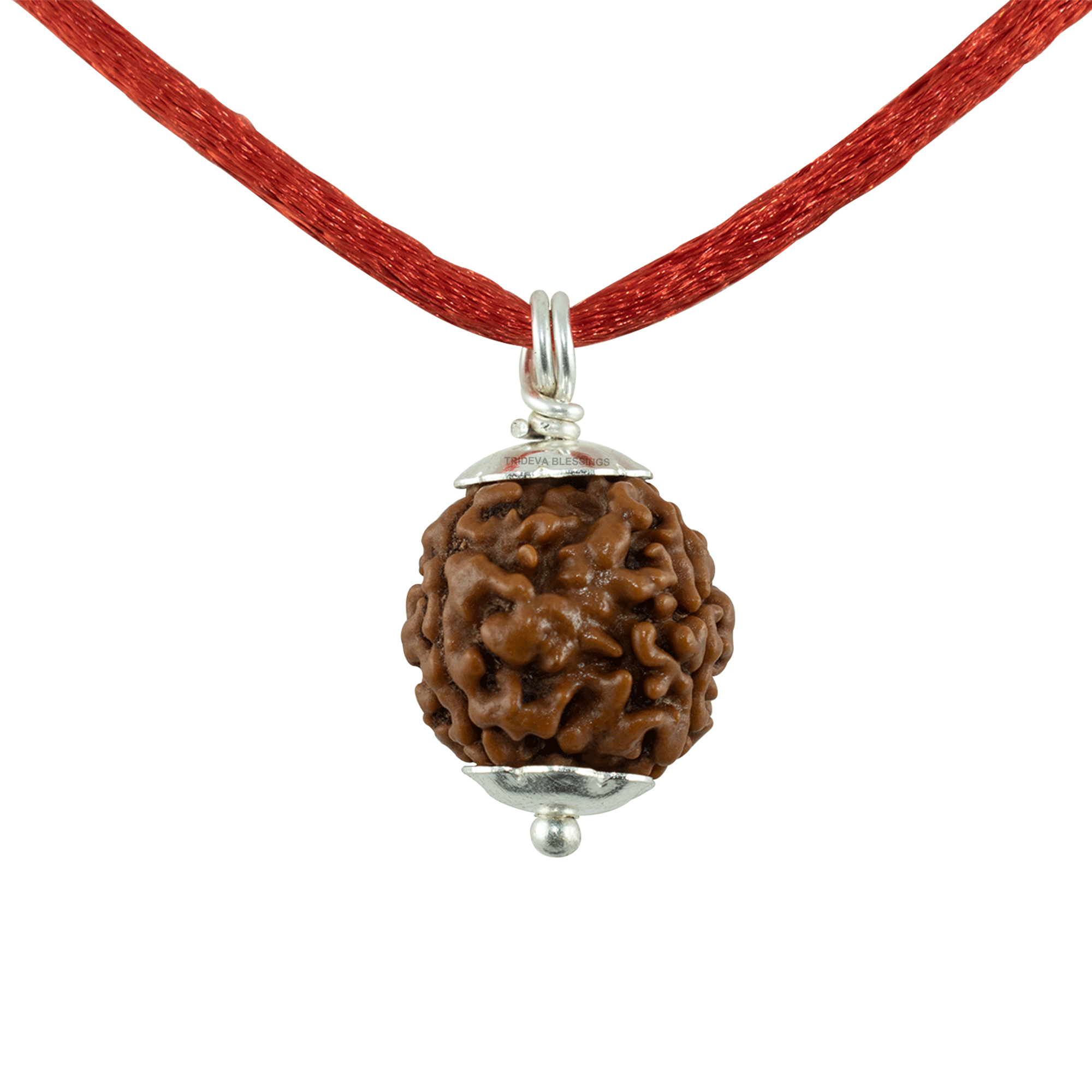 Trideva Blessings 3 Mukhi Rudraksha Pendant / Three Face Rudraksha Pendant - Pure Silver Cap (Lab Certified)