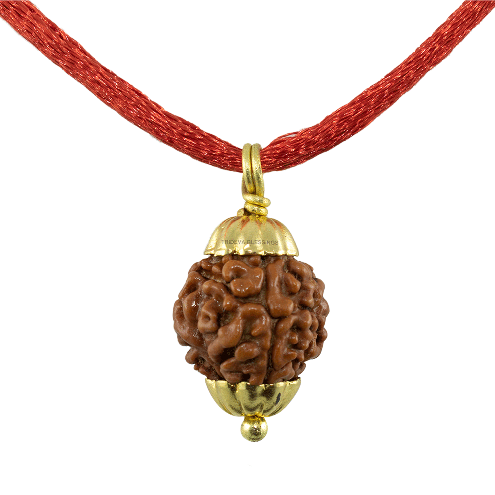 Trideva Blessings 3 Mukhi Rudraksha Pendant / Three Face Rudraksha Pendant - Golden Metal Cap (Lab Certified)