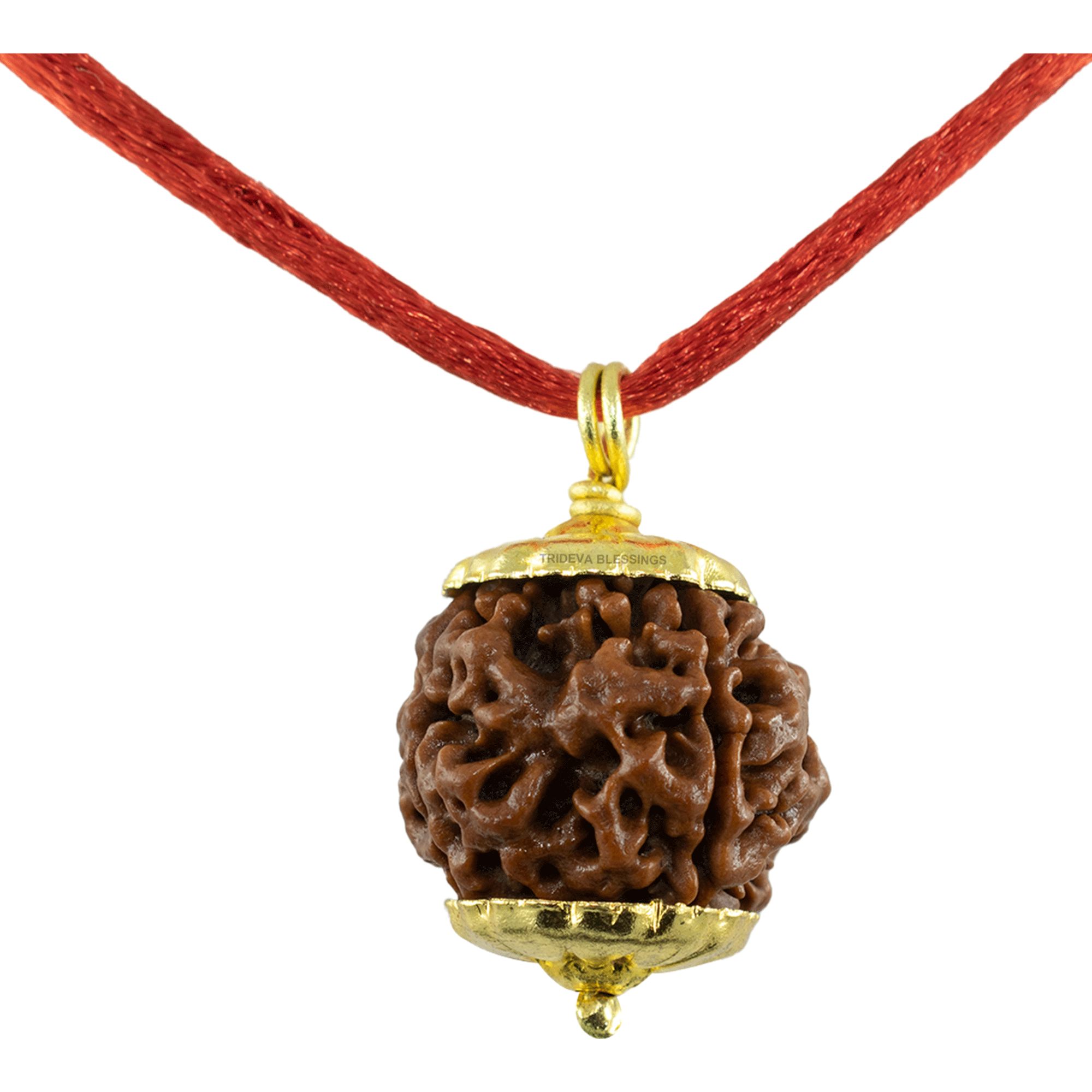 Trideva Blessings 4 Mukhi Rudraksha Pendant / Four Face Rudraksha Pendant - Golden Metal Cap (Lab Certified)