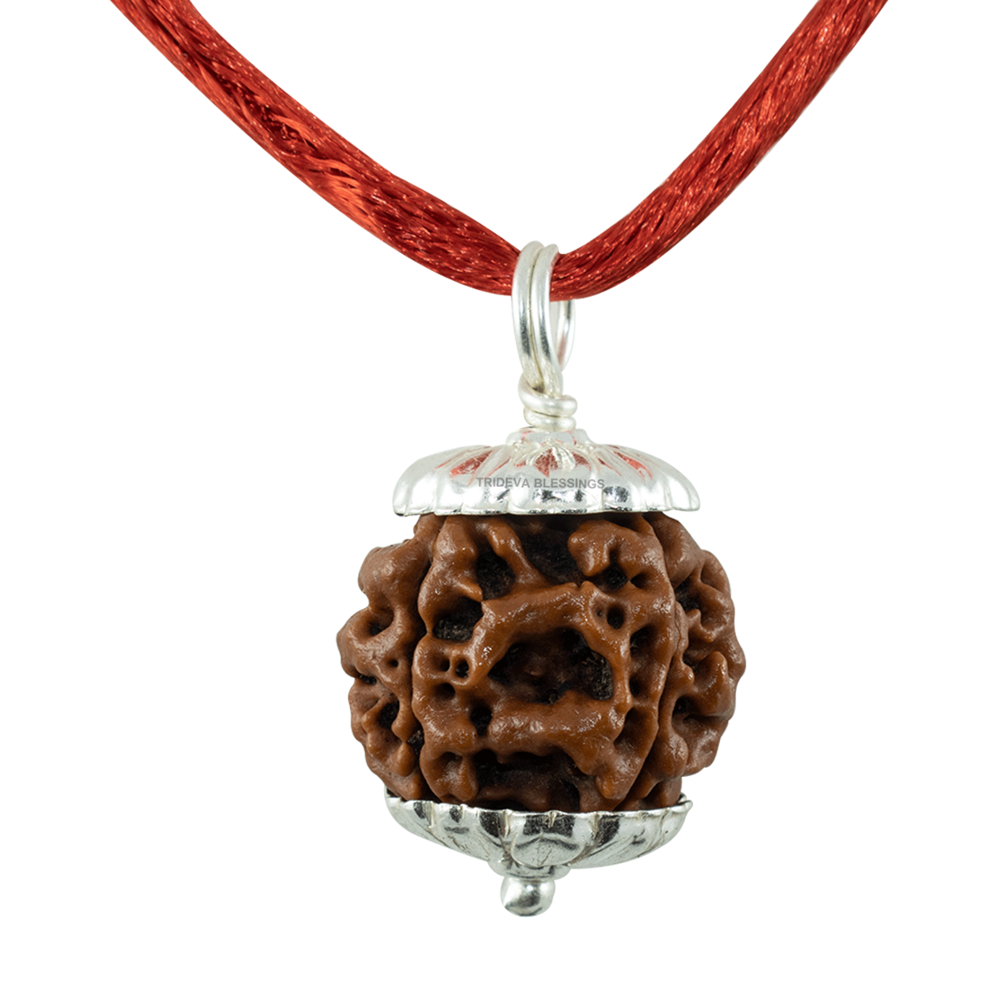 Trideva Blessings 4 Mukhi Rudraksha Pendant / Four Face Rudraksha Pendant - Pure Silver Cap (Lab Certified)