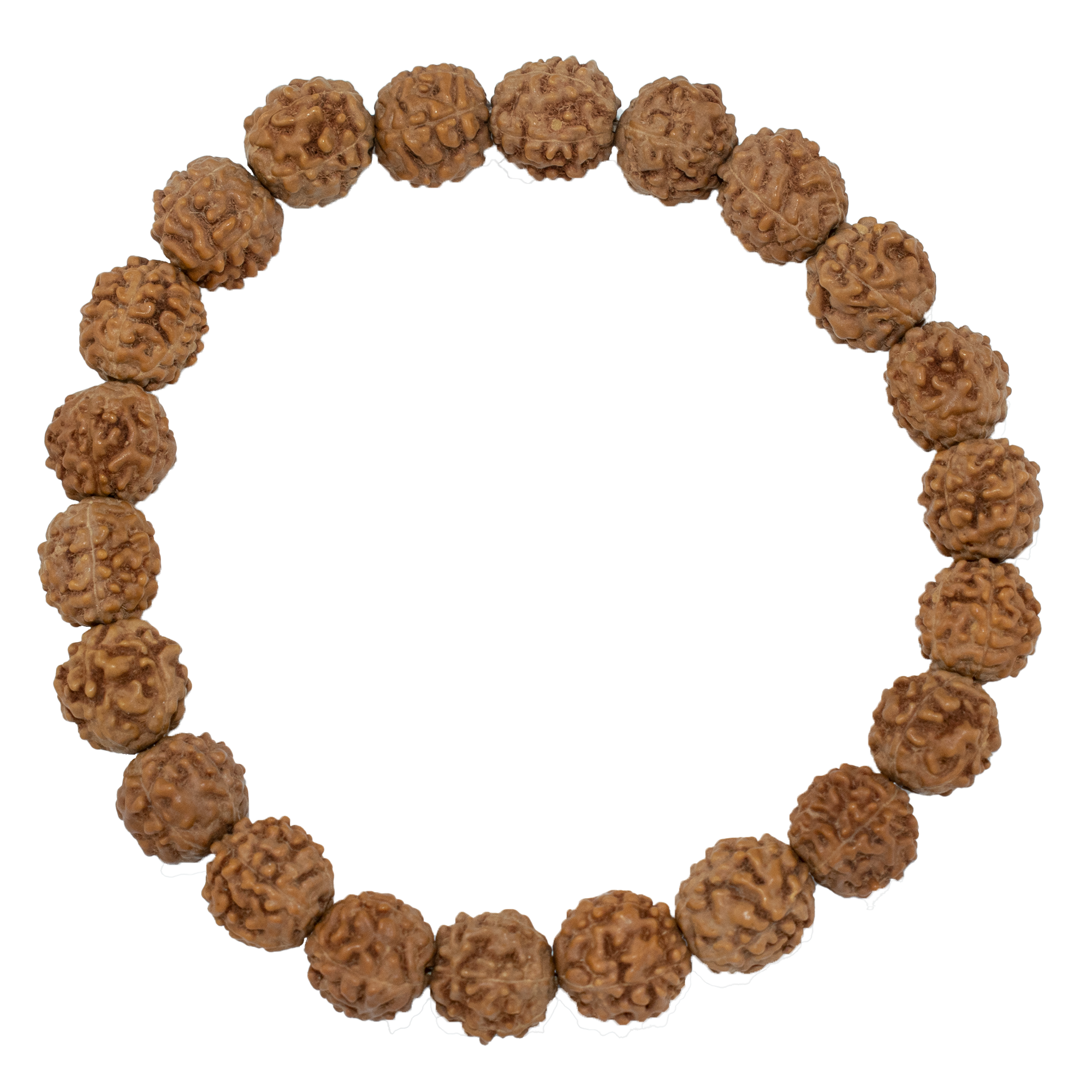 Trideva Blessings 5 Mukhi Rudraksha Bracelet / 5 Face Rudraksha Bracelet - (Indonesia)