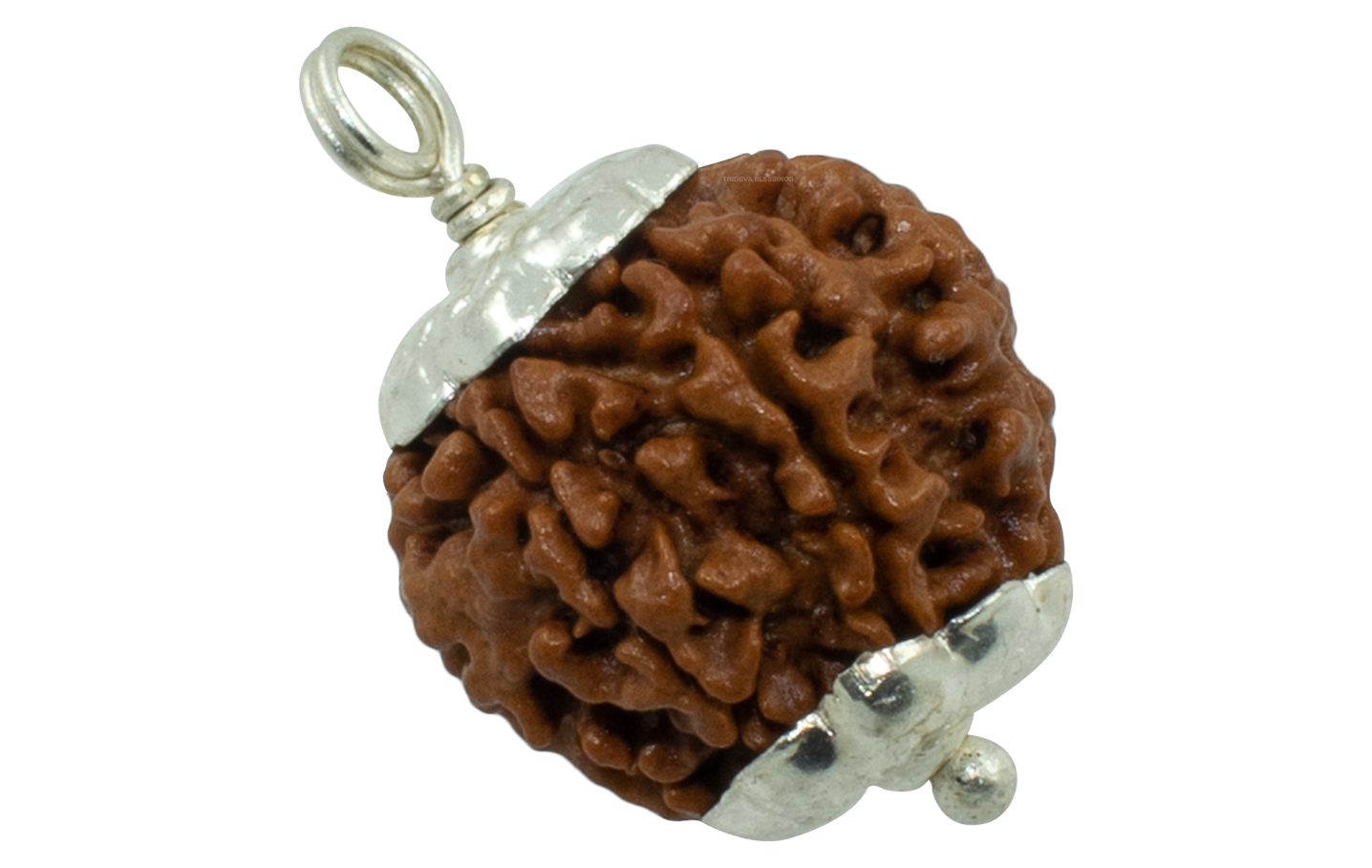 Trideva Blessings 5 Mukhi Rudraksha Pendant / Five Face Rudraksha Pendant - Pure Silver Cap (Lab Certified)