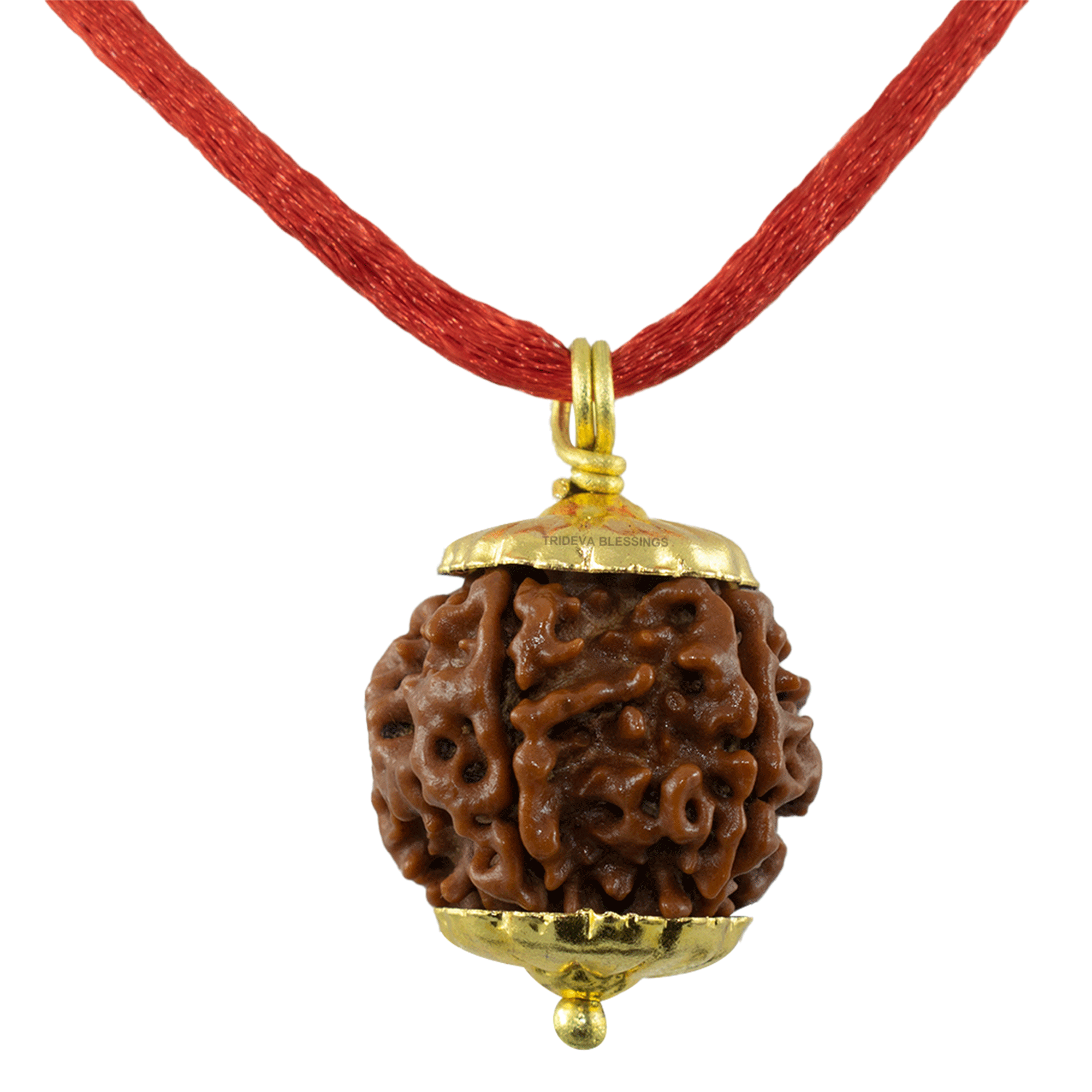 Trideva Blessings 5 Mukhi Rudraksha Pendant / Five Face Rudraksha Pendant - Golden Metal Cap (Lab Certified)
