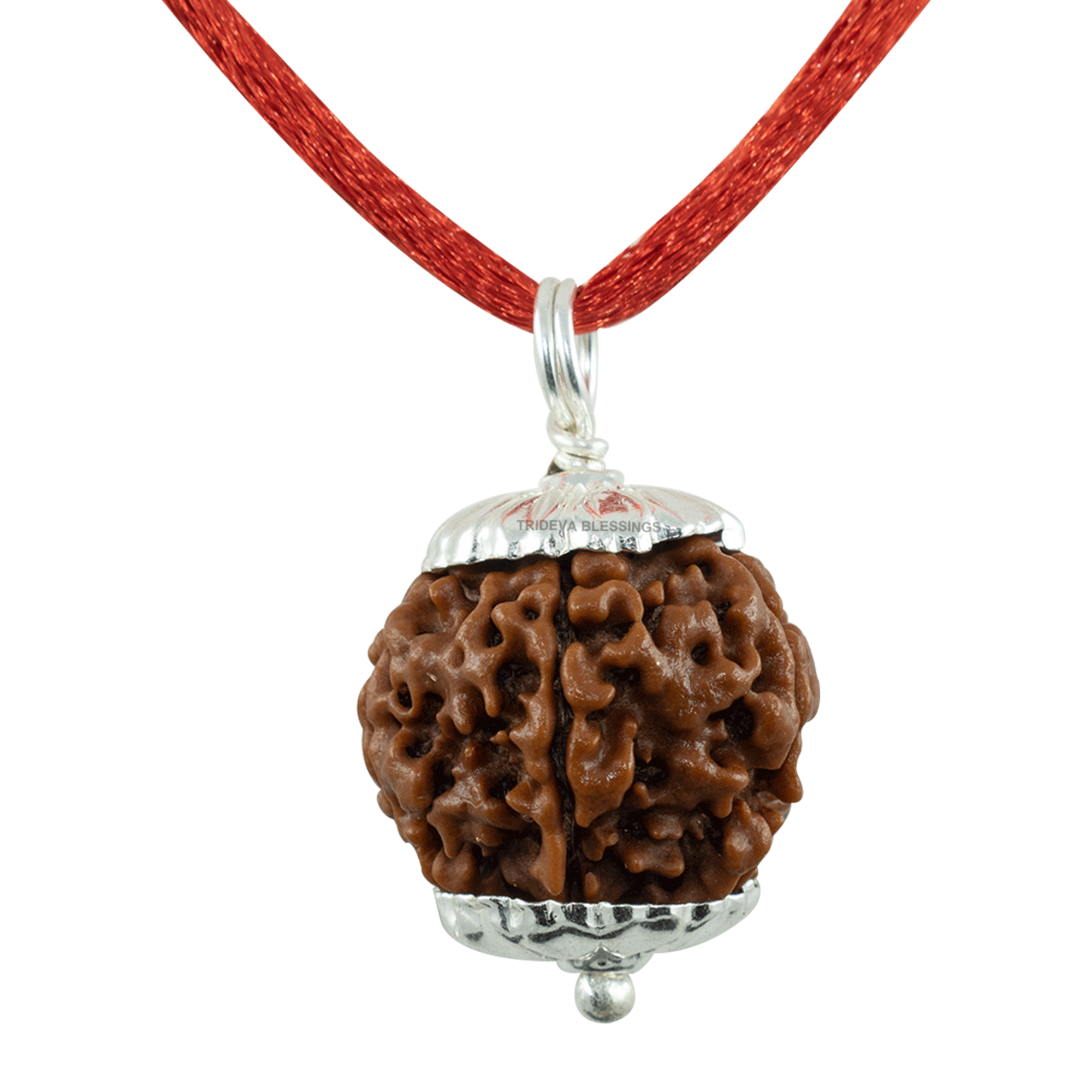 Trideva Blessings 5 Mukhi Rudraksha Pendant / Five Face Rudraksha Pendant - Pure Silver Cap (Lab Certified)