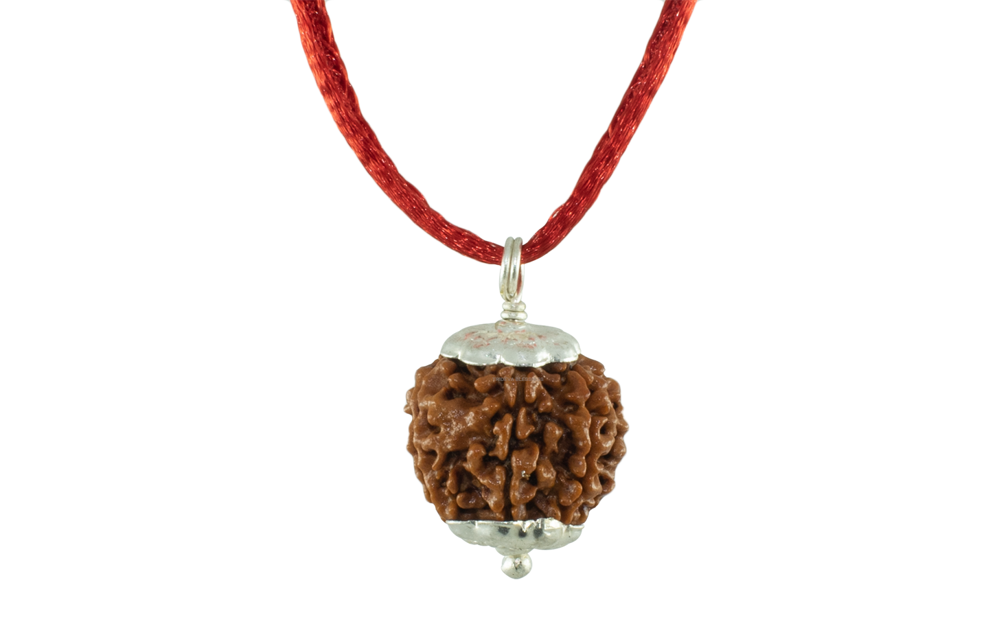 Trideva Blessings 6 Mukhi Rudraksha Pendant / Six Face Rudraksha Pendant - Pure Silver Cap (Lab Certified)