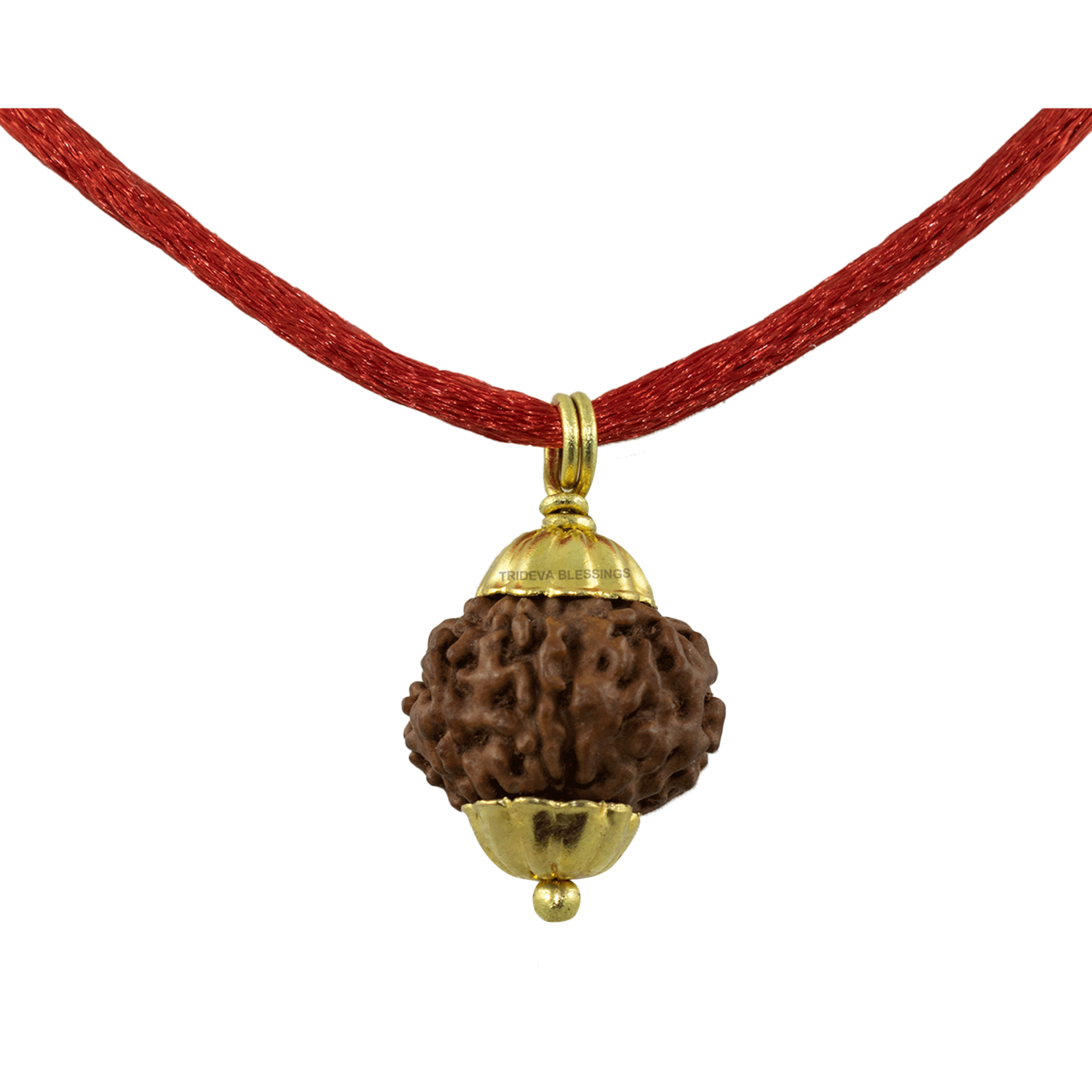 Trideva Blessings 7 Mukhi Rudraksha Pendant / Seven Face Rudraksha Pendant - Golden Metal Cap (Lab Certified)