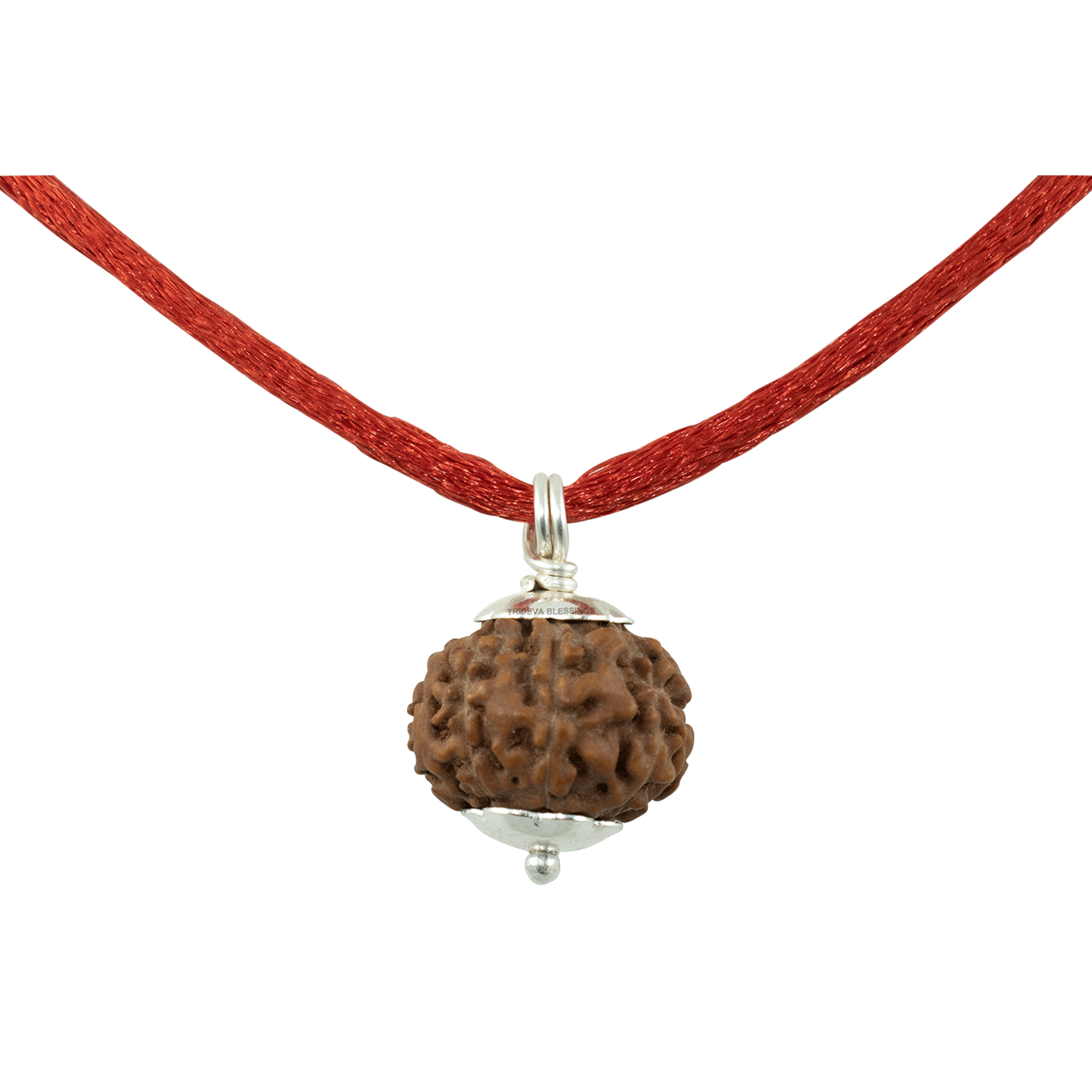 Trideva Blessings 7 Mukhi Rudraksha Pendant / Seven Face Rudraksha Pendant - Pure Silver Cap (Lab Certified)