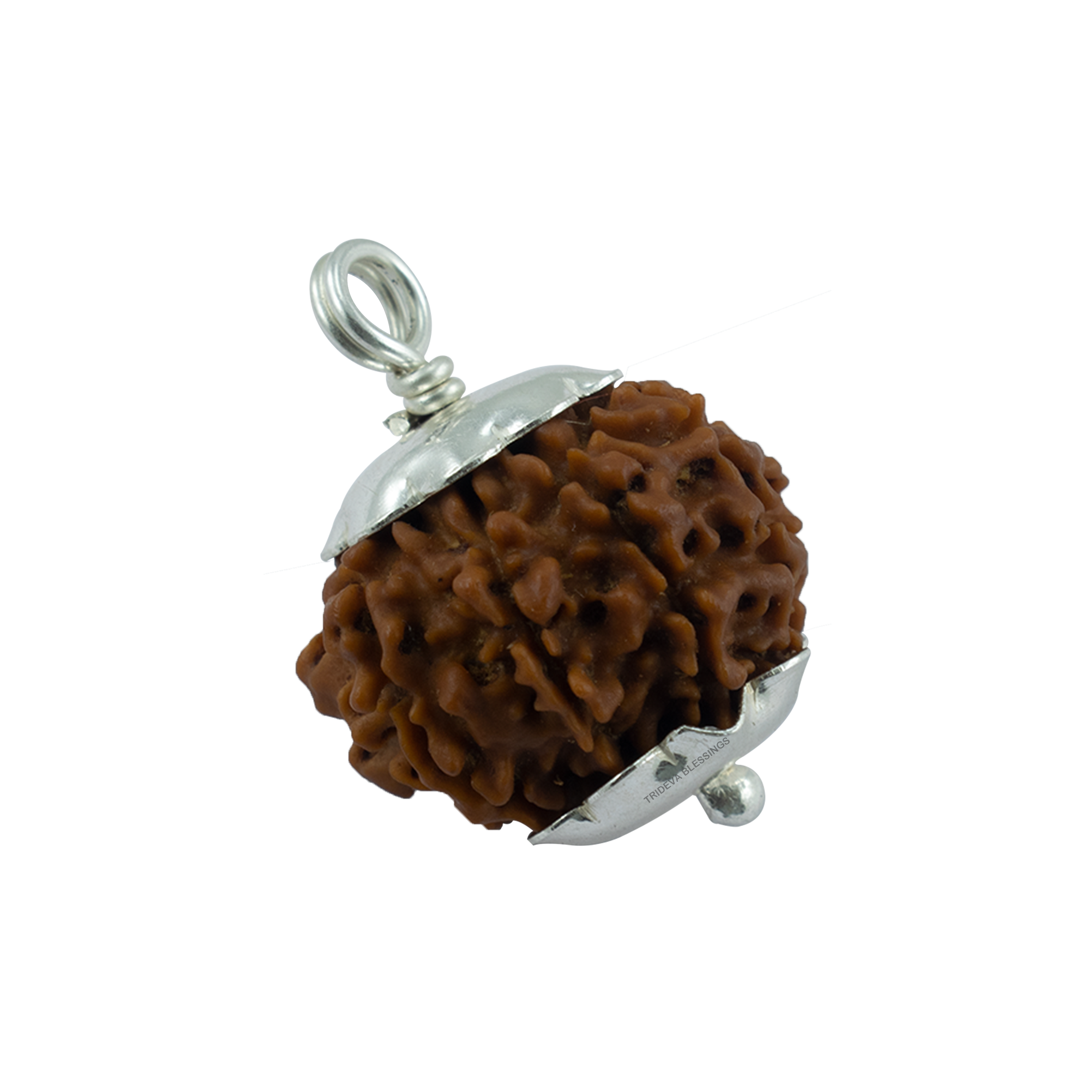 Trideva Blessings 8 Mukhi Rudraksha Pendant / Eight Face Rudraksha Pendant (Made in Pure Silver) - Nepal Bead