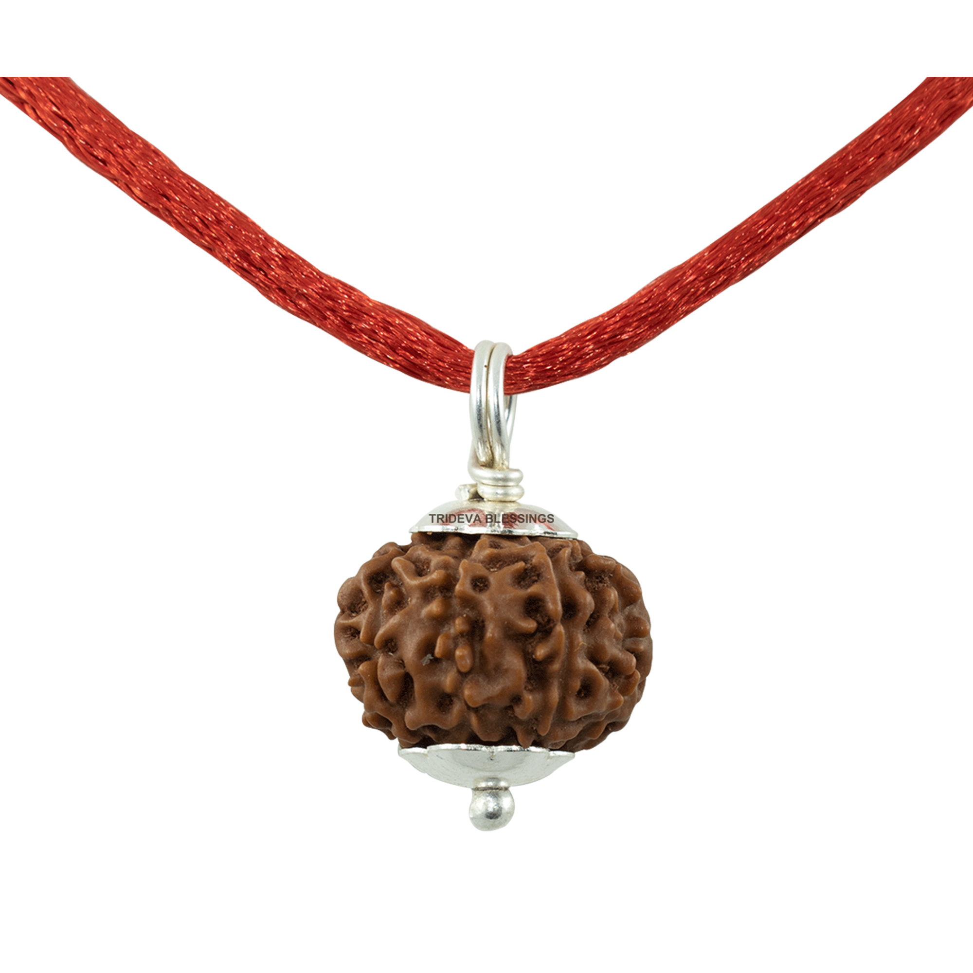 Trideva Blessings 8 Mukhi Rudraksha Pendant / Eight Face Rudraksha Pendant - Pure Silver Cap (Lab Certified)