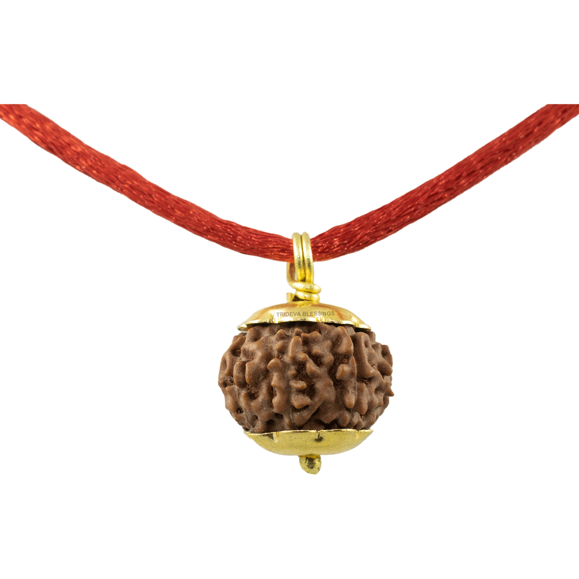 Trideva Blessings 8 Mukhi Rudraksha Pendant / Eight Face Rudraksha Pendant - Golden Metal Cap (Lab Certified)