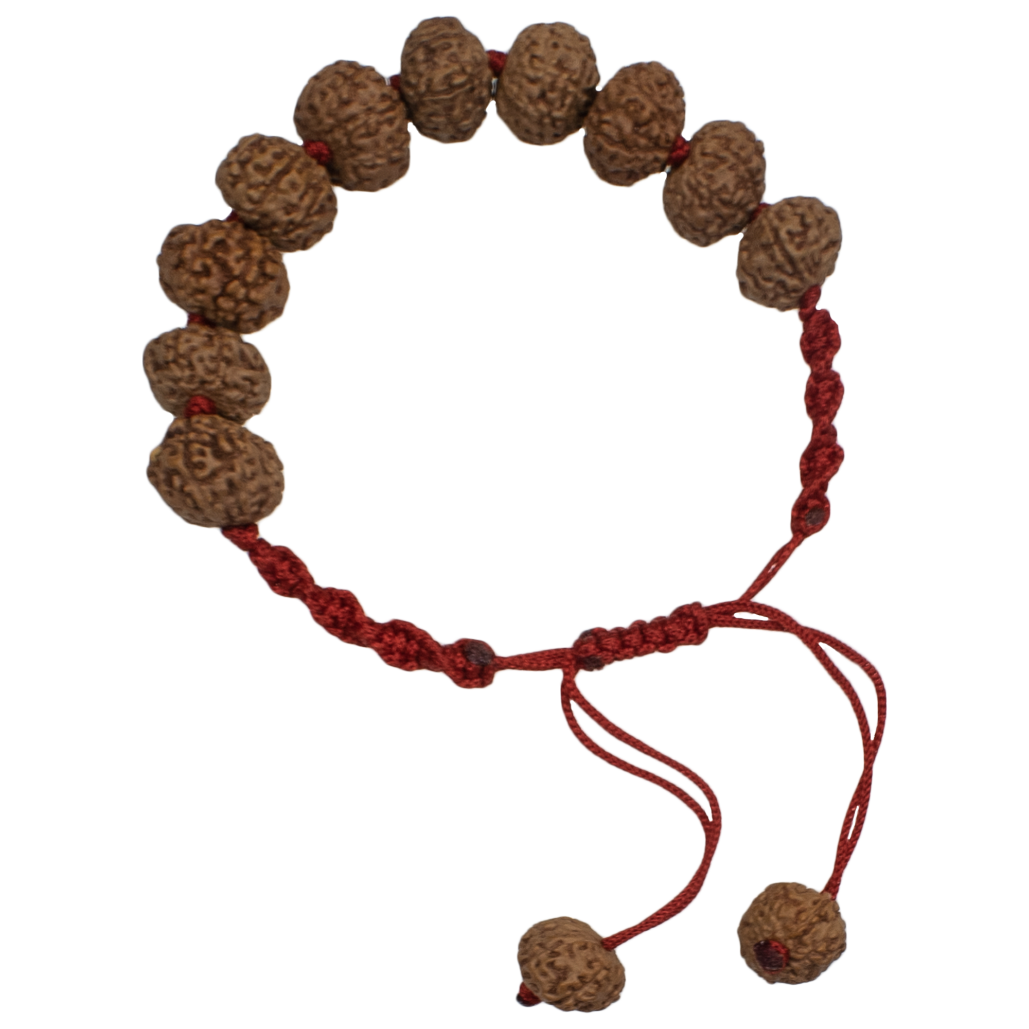 Trideva Blessings 8 Mukhi Rudraksha / Eight Face Rudraksha Bracelet - 12 beads (10mm)