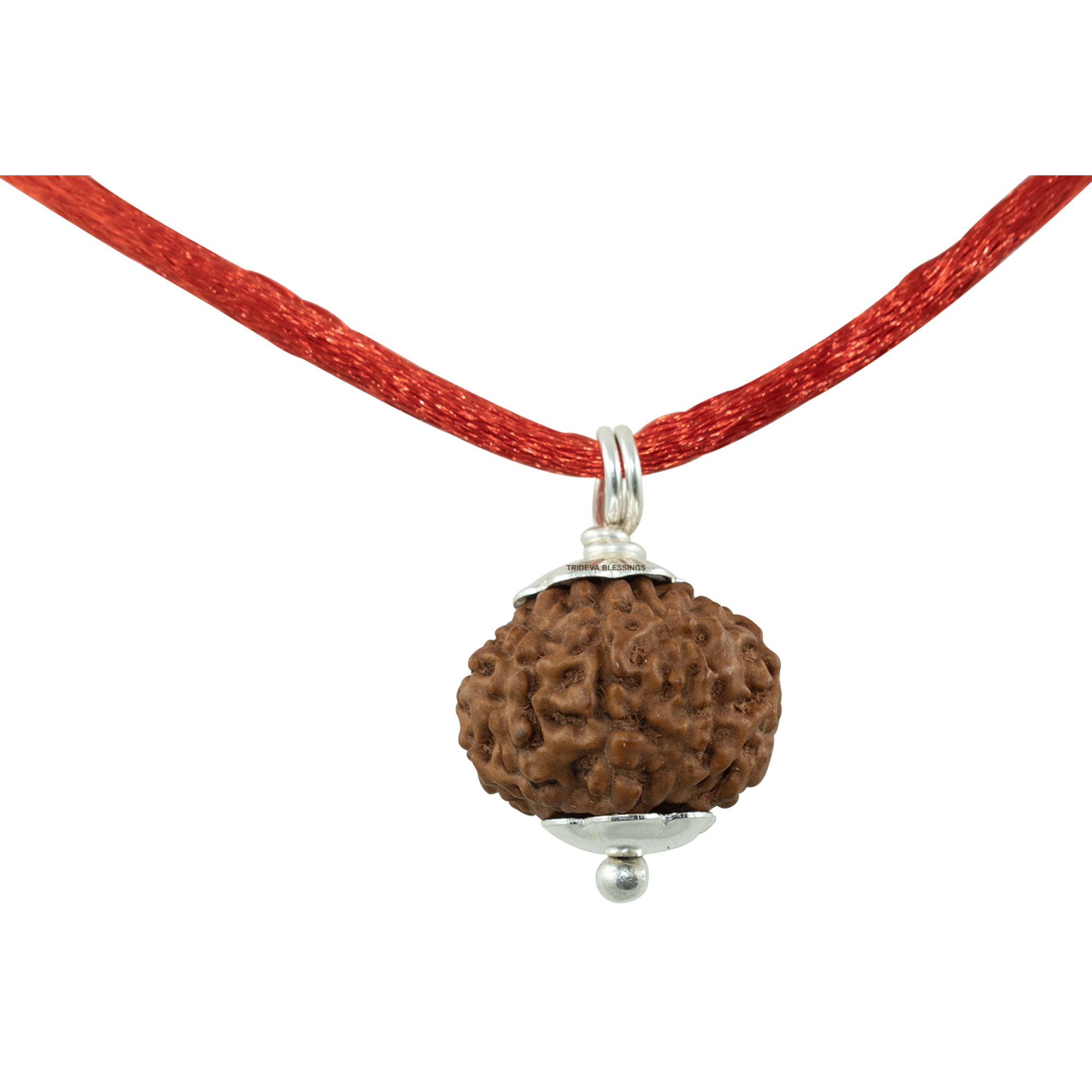 Trideva Blessings 9 Mukhi Rudraksha Pendant / Nine Face Rudraksha Pendant - Pure Silver Cap (Lab Certified)